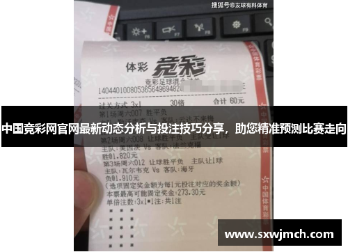 中国竞彩网官网最新动态分析与投注技巧分享，助您精准预测比赛走向