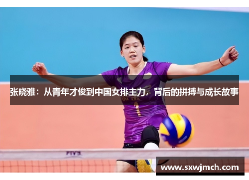 张晓雅：从青年才俊到中国女排主力，背后的拼搏与成长故事